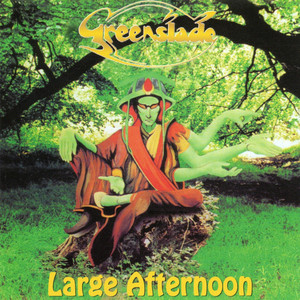 Large Afternoon cover