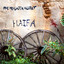 Haifa Albumcover