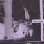 Performance cover