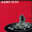 True Noise Albumcover