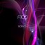 Fico Works Albumcover