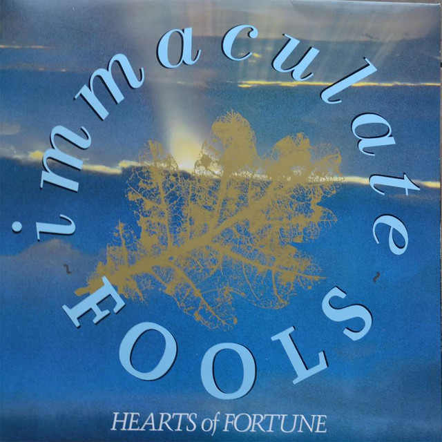Immaculate Fools cover