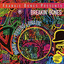 Diary Of A Raving Lunatic cover