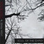 Soul of the Gypsy cover