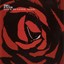 Love Is Gone Mad Albumcover
