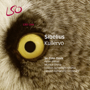 Kullervo Symphony cover