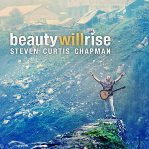 Beauty Will Rise cover