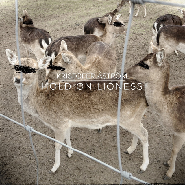 Hold On Lioness cover