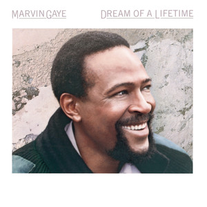 Dream of a Lifetime cover