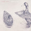 Umbilical cover