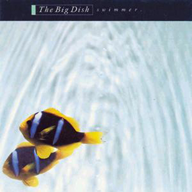 The Big Dish photo
