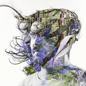 Ribbons cover