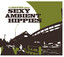 17 Hippies Play Sexy Ambient Hippies Albumcover