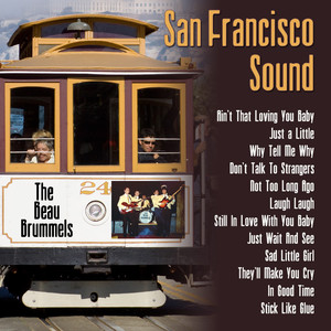 San Francisco Sound: The Beau Brummels album