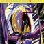 Passarim cover
