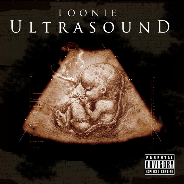Loonie photo