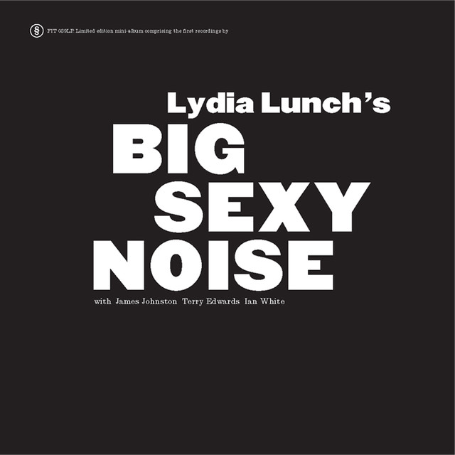 Big Sexy Noise cover