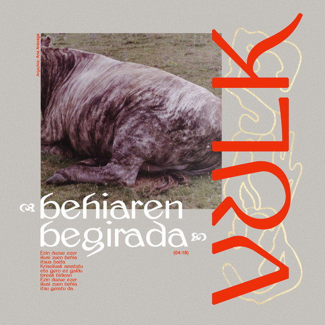 Behiaren Begirada cover