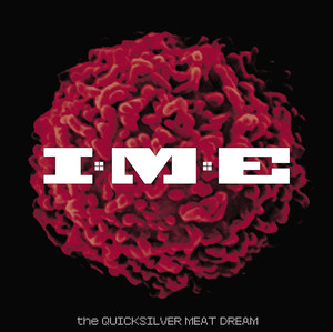 The Quicksilver Meat Dream (International Version) album