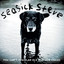You Can't Teach an Old Dog New Tricks cover