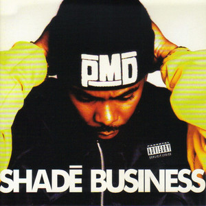 Shade Business cover