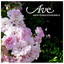 Ave Albumcover