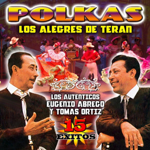 Polkas 15 Exitos album