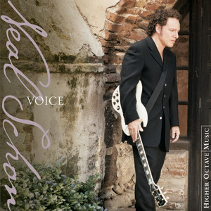 Voice cover