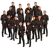 La Adictiva Banda San José de Mesillas profile