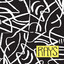 Rays cover