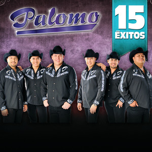15 Éxitos cover
