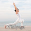 Viniyoga Albumcover