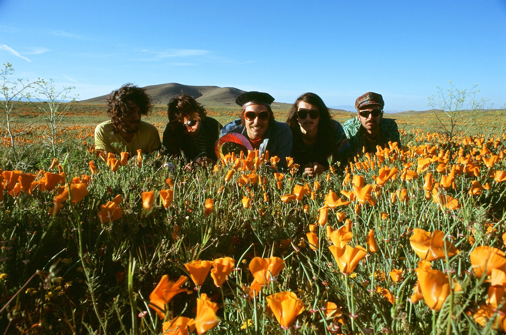 Musik Artist The Growlers