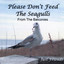 Please Don't Feed the Seagulls from the Balconies Albumcover