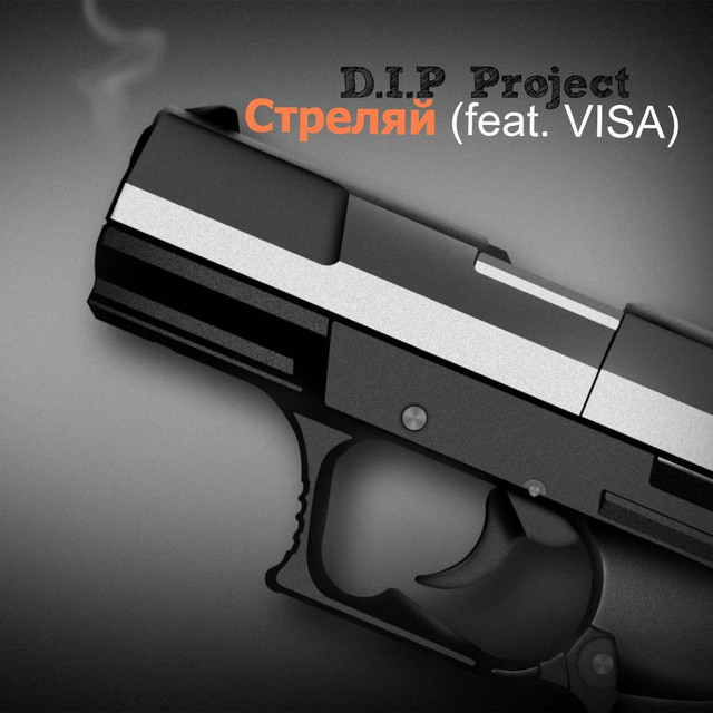 D.I.P Project Photo