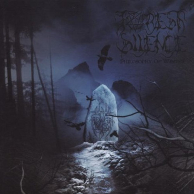 Forest Silence Photo