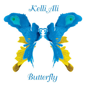 Butterfly cover
