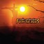 From the Ashes Albumcover