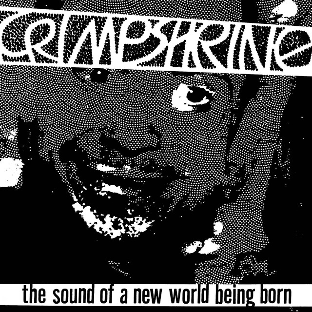 The Sound Of A New World Being Born cover