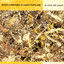 La voce del grano cover