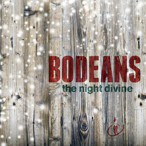 The Night Divine album