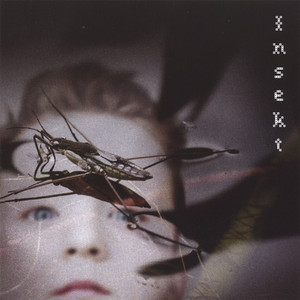 Insekt cover