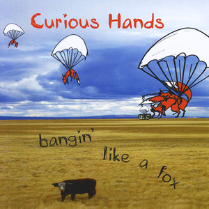 Curious Hands poster