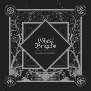 IV - One With the Storm cover