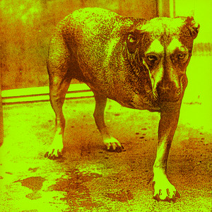 Alice in Chains album