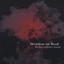 The Best Of What's Around Albumcover