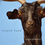 Stupid Head Albumcover