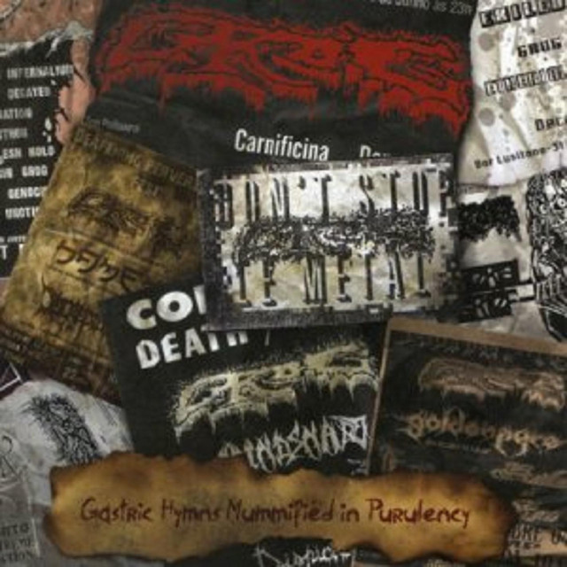 Gastric Hymns Mummified In Purulency cover