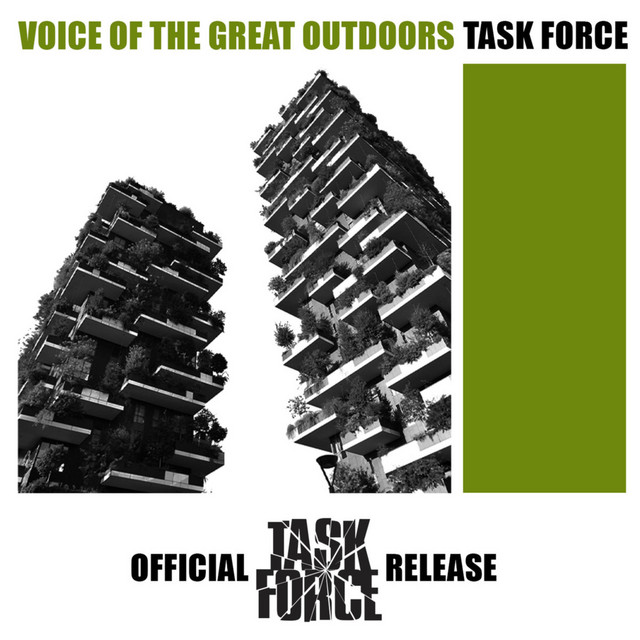 Task Force photo