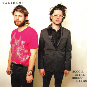Boogie in the Breeze Blocks cover